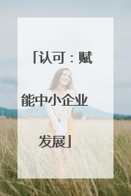 认可：赋能中小企业发展